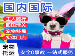 和田昆冈国际宠物托运 【国